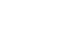 Hotel Security Cameras