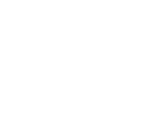 Perimeter Security