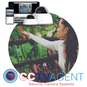 Retail Security Camera Systems